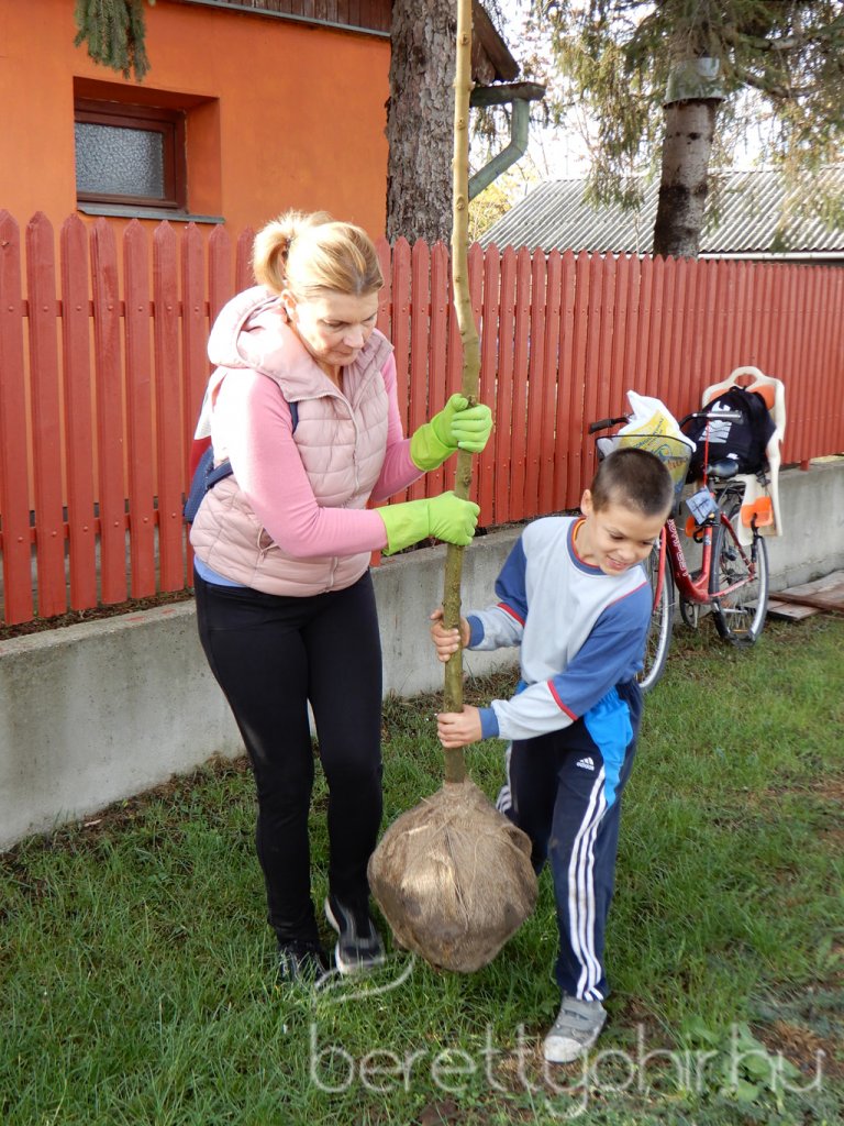 Közösségi faültetés Berettyóújfaluban 07